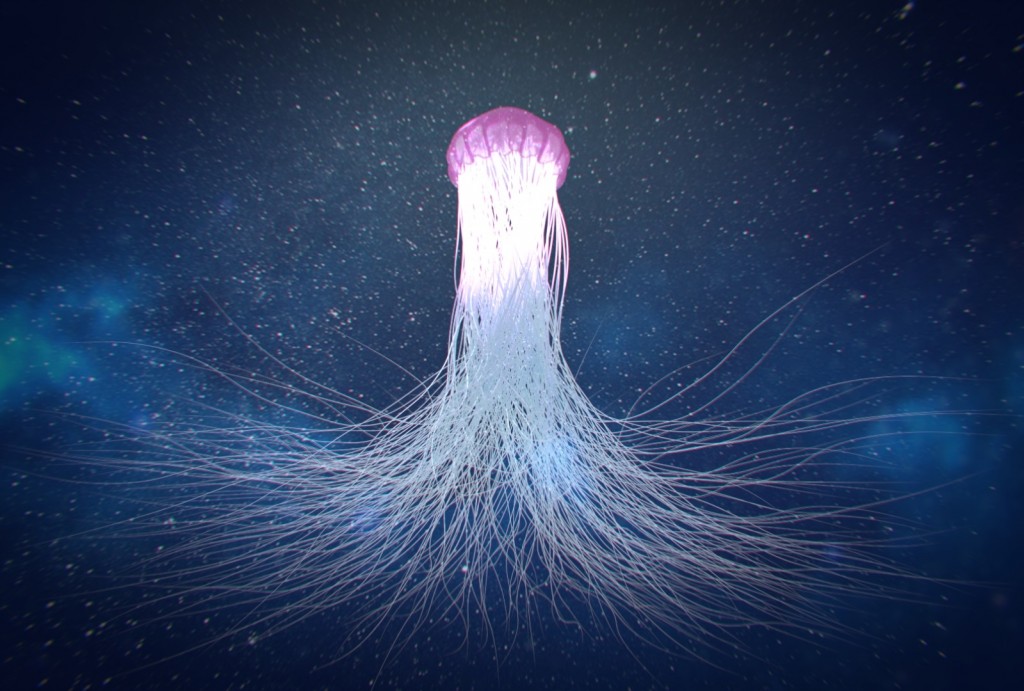 The Jellyfish preview image 1